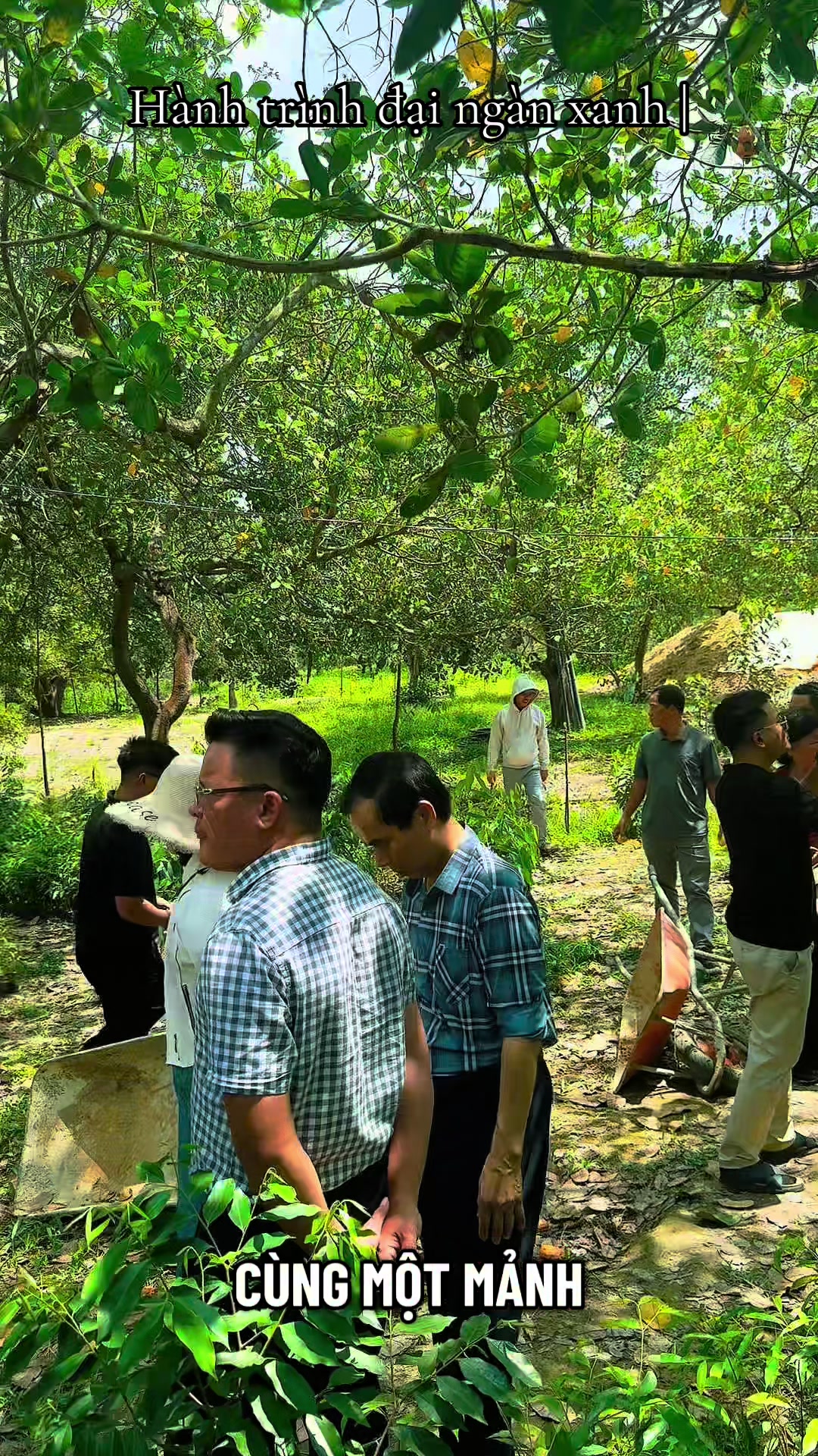@D&oacute; Đen Việt !
