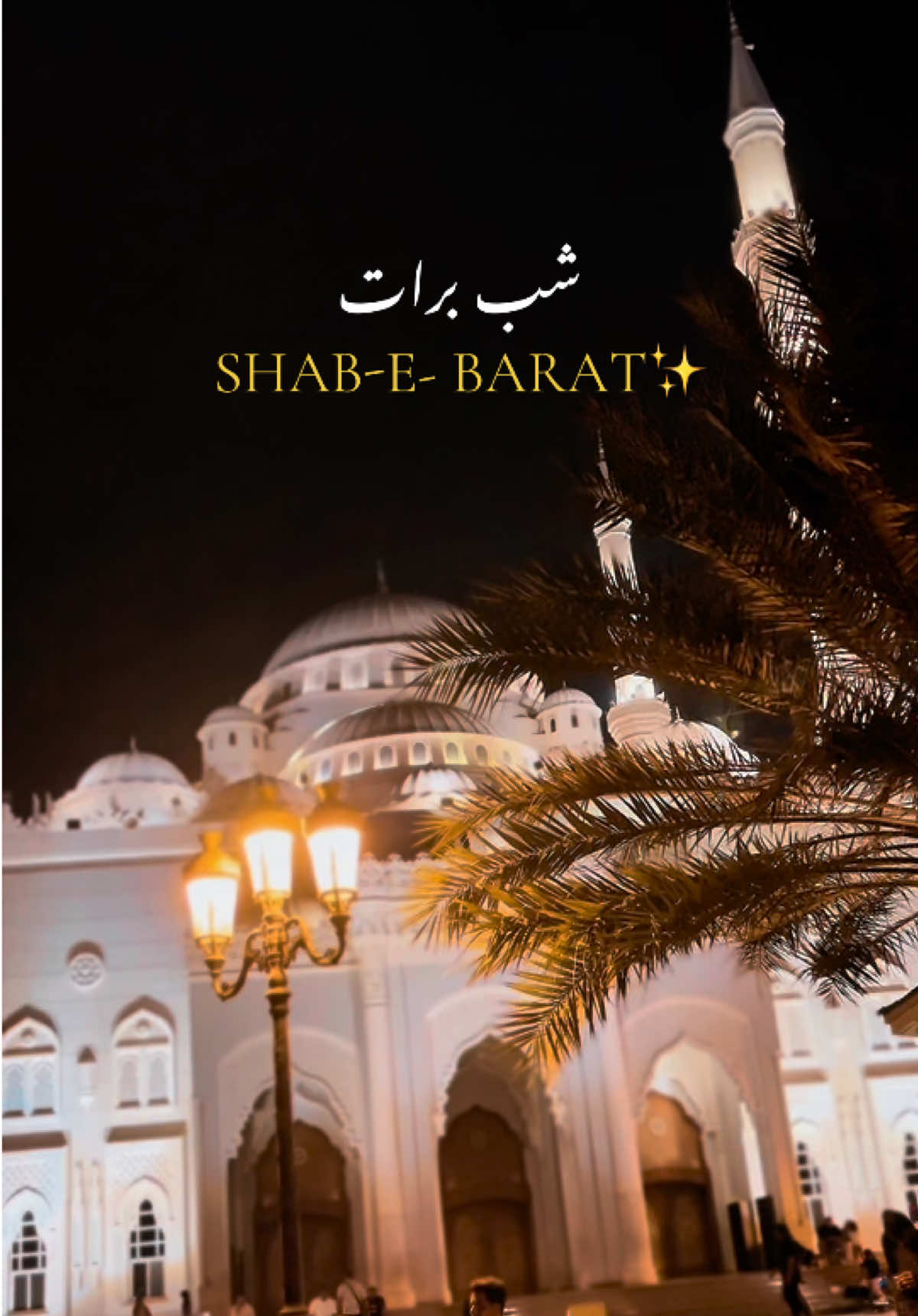 @Haseeb Shoaib