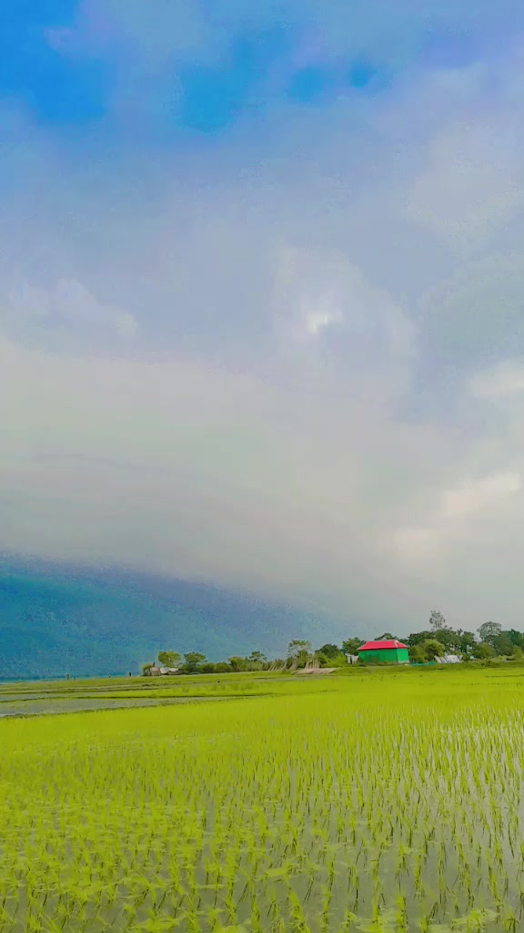 @জান্নাতুল ফেরদৌস