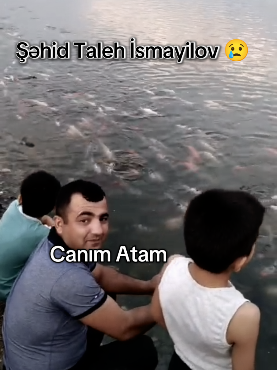 @Taleh İsmayilov🇦🇿 ✅