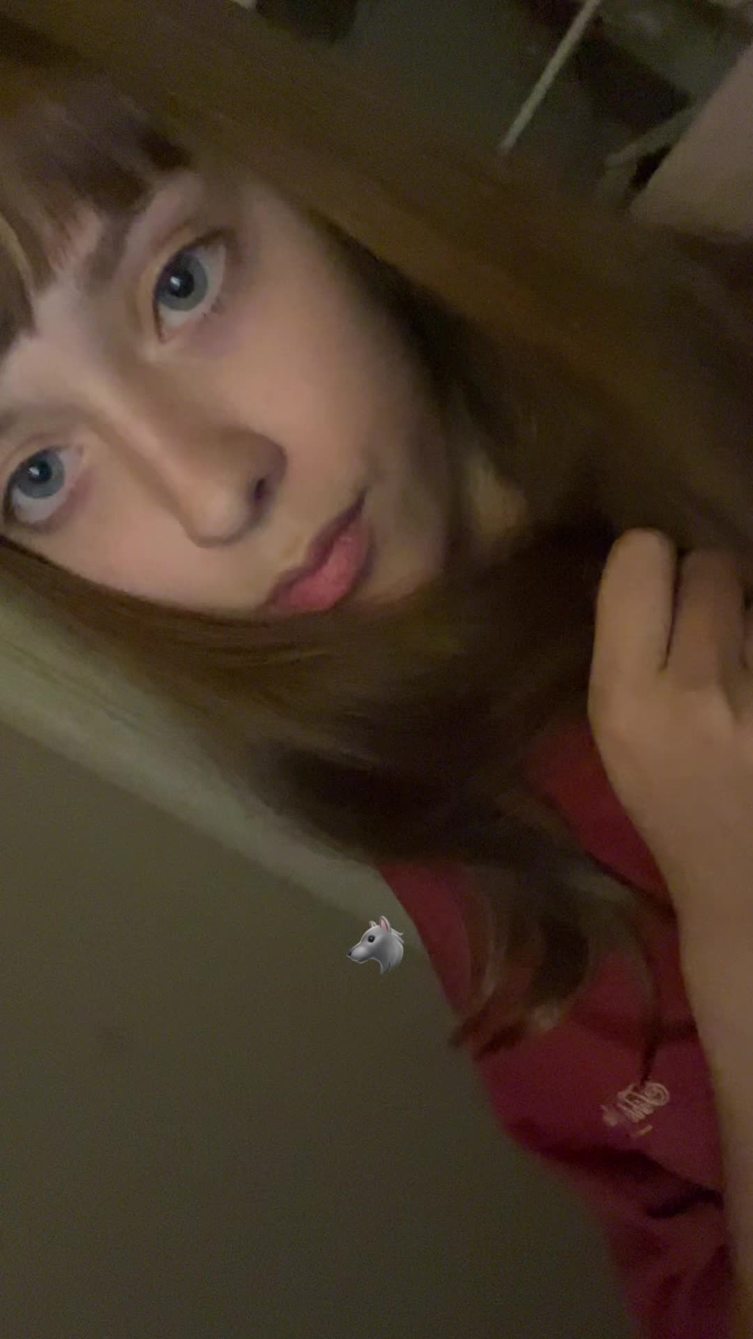 @𝓛𝒊𝒔𝒏𝒔𝒔 🦢