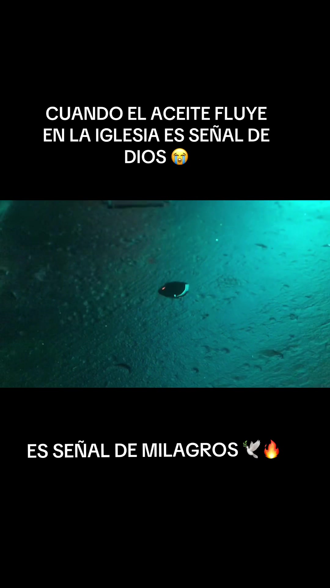 @Yovani Quinteros