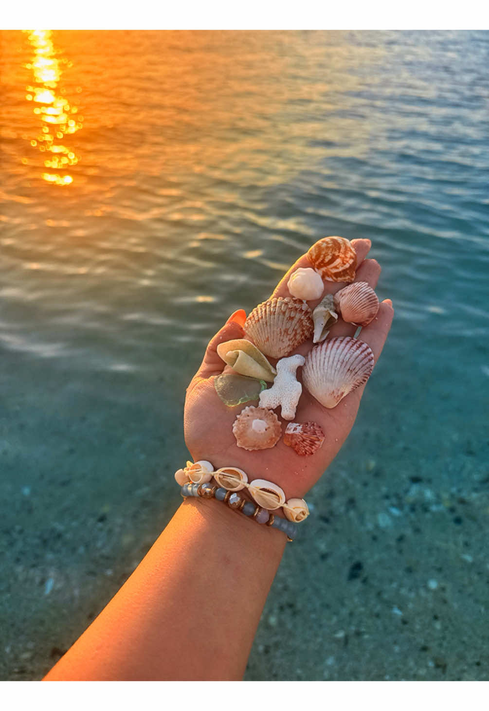 @just_yari_🐚🪸