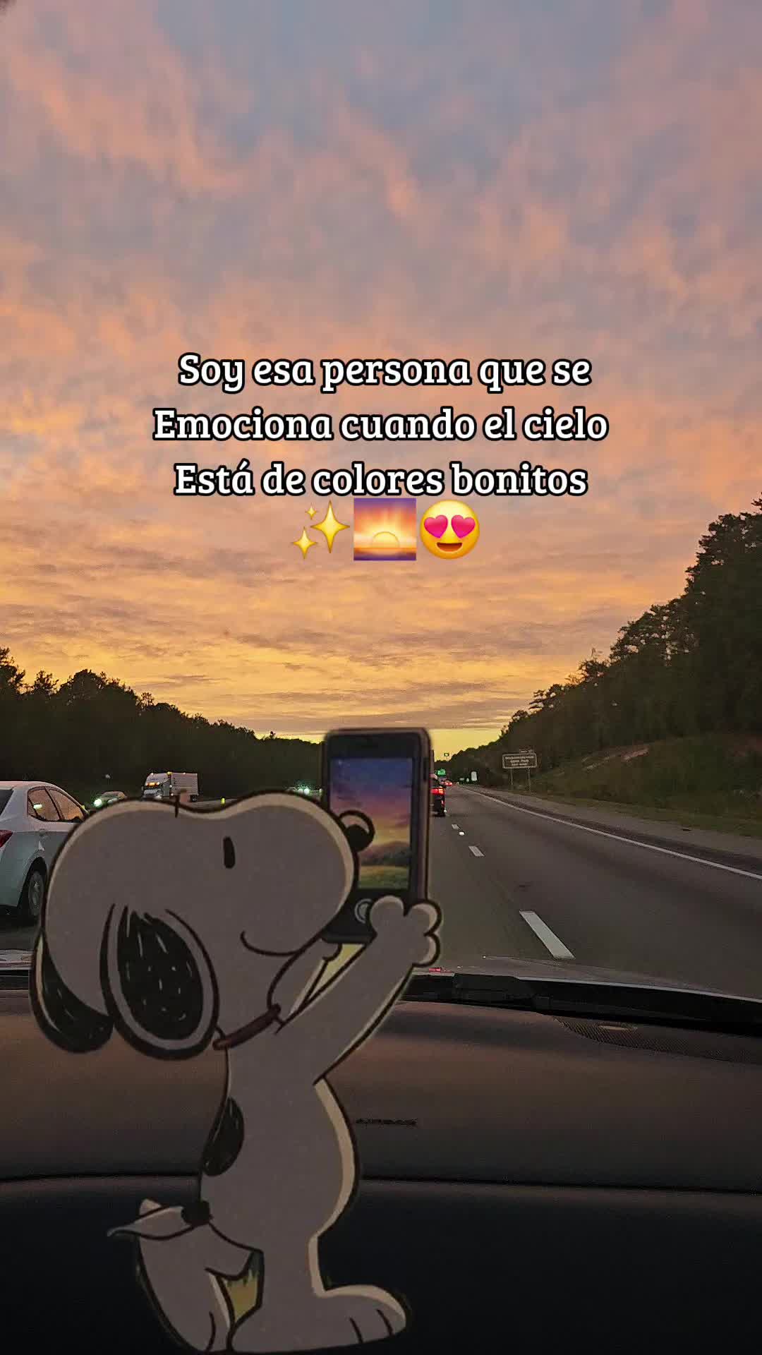 @Verito'H_503 👑💙🇸🇻