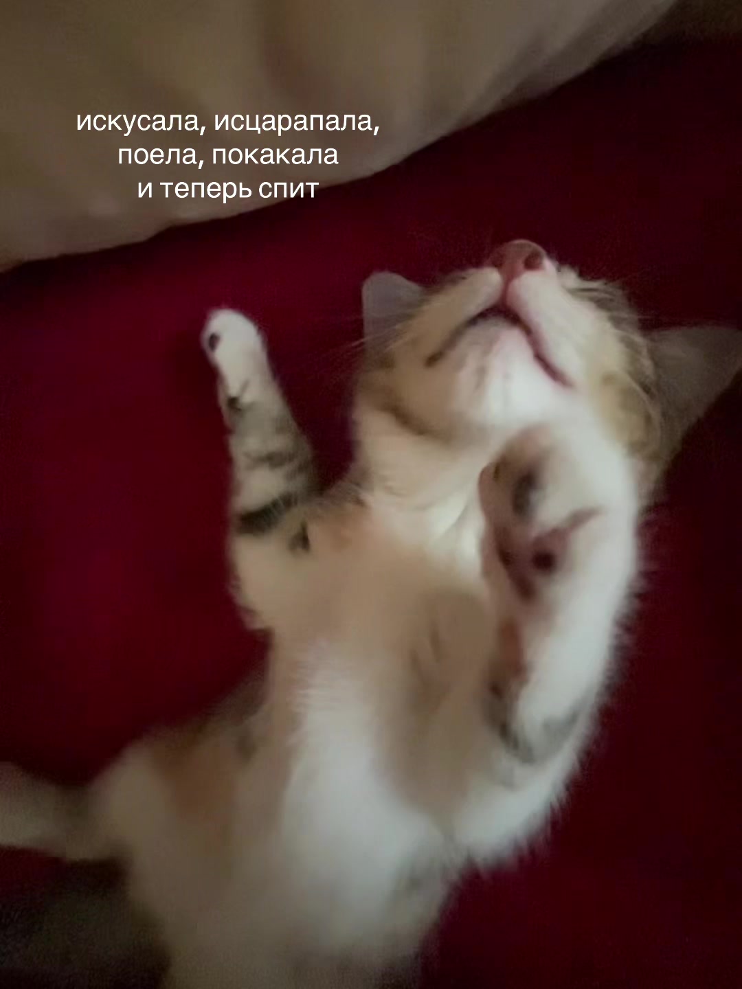 @алиска🚬