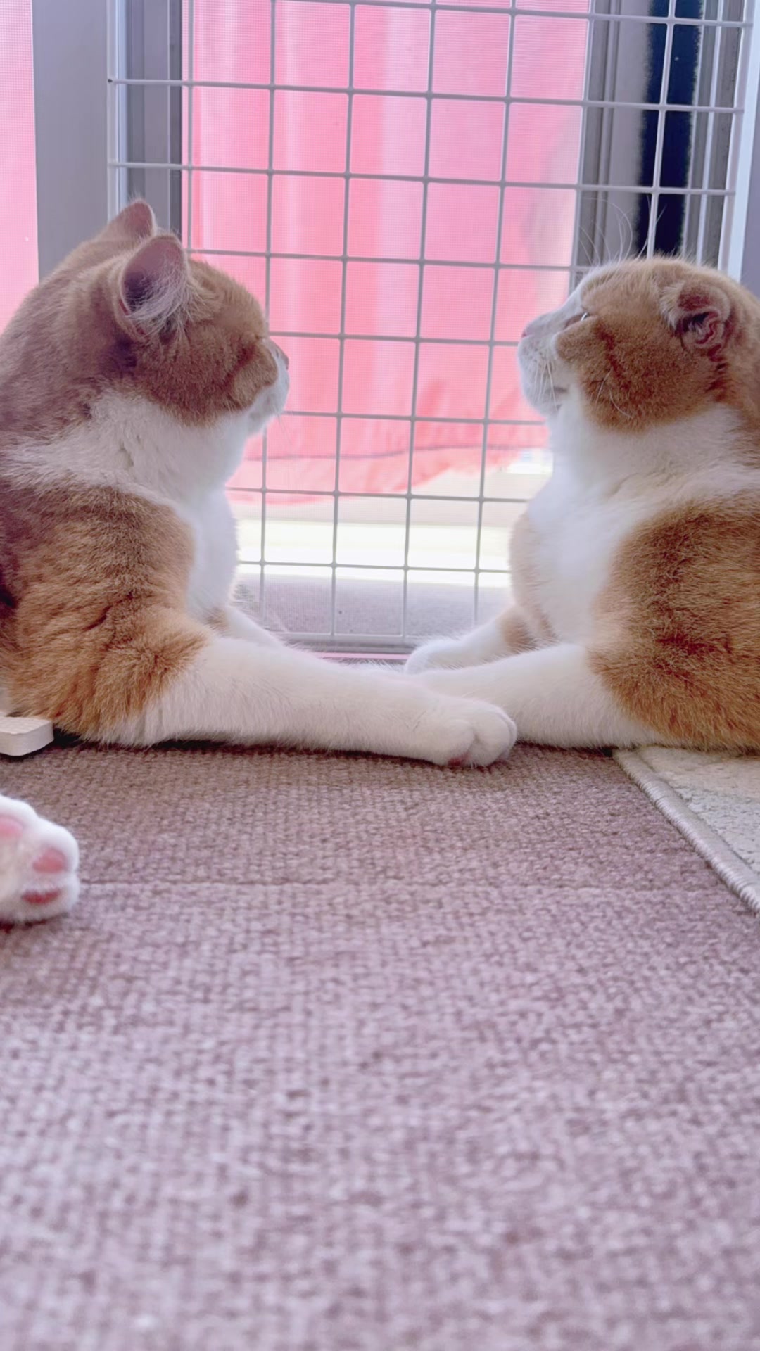 @マロン