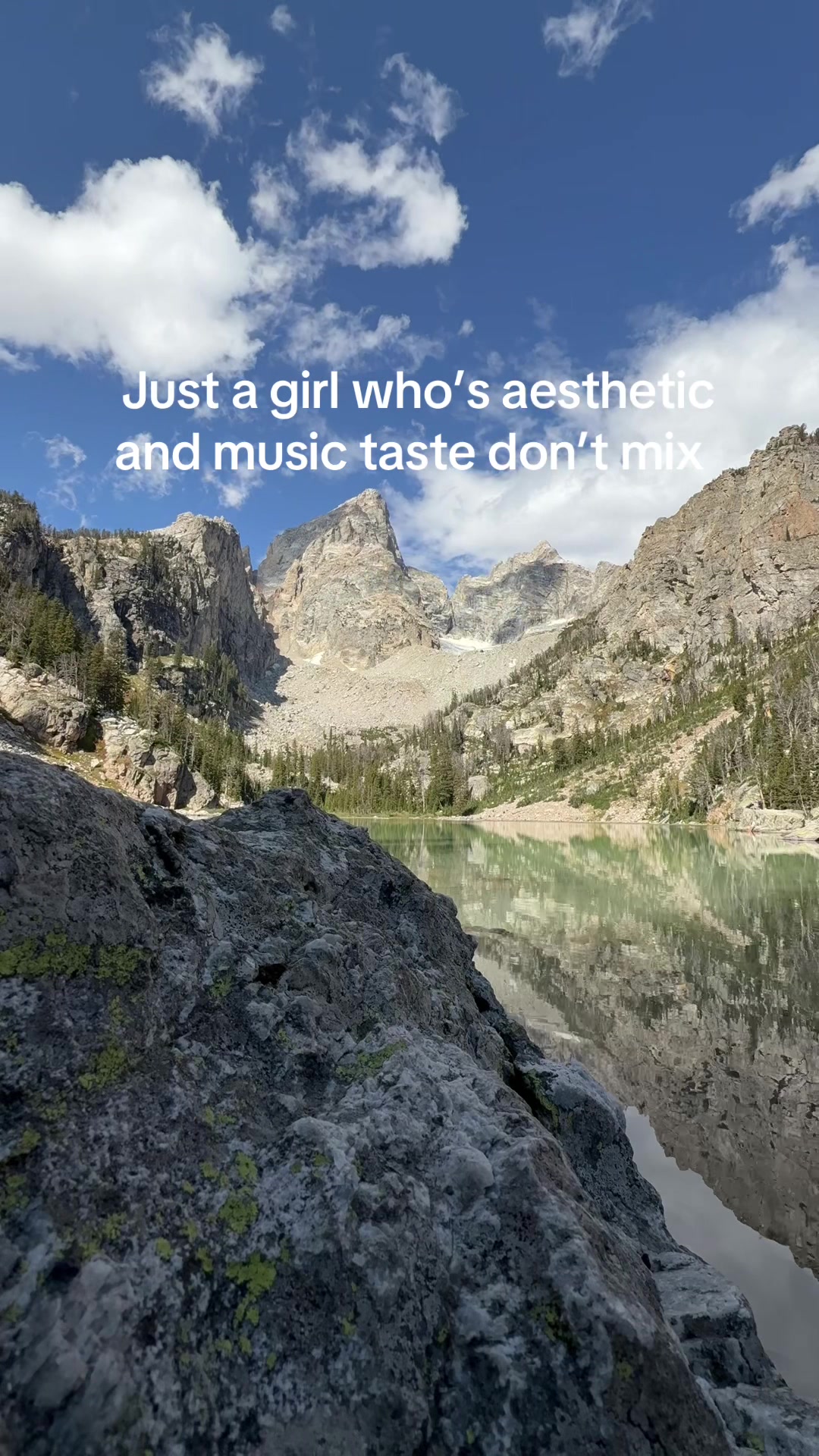 @bardiibrii