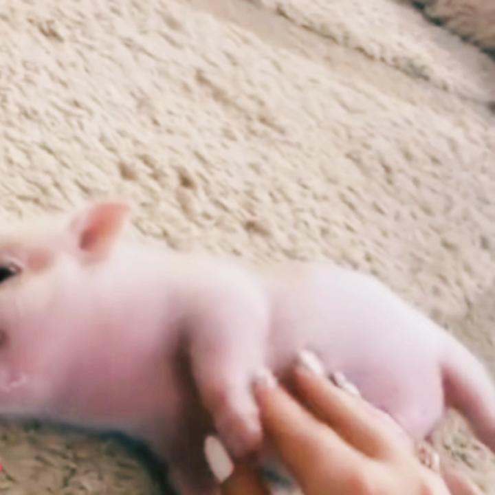 @♰котёнок♰