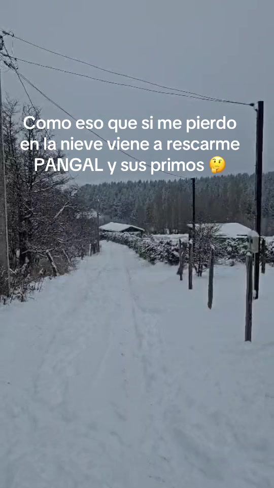 @✨aventuras✨
