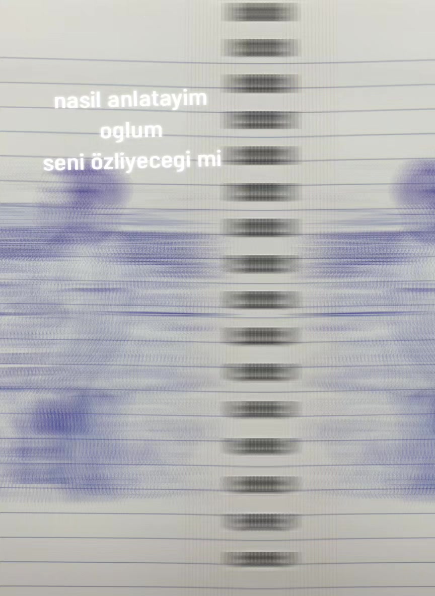@ALİ URLA