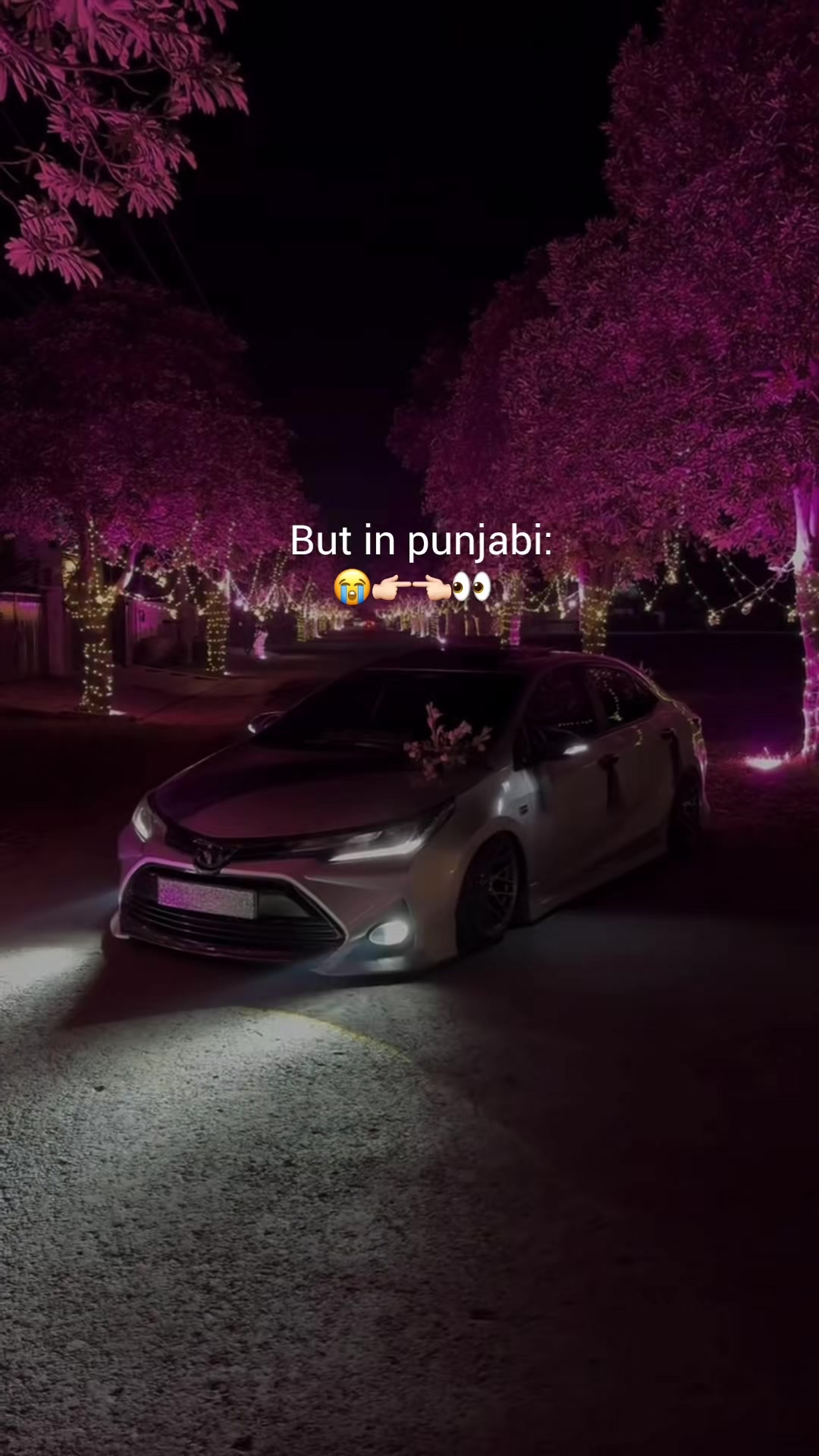 @ᯓ𝙃 𝘼 𝙕 𝙀 𝙇ོ🕸️