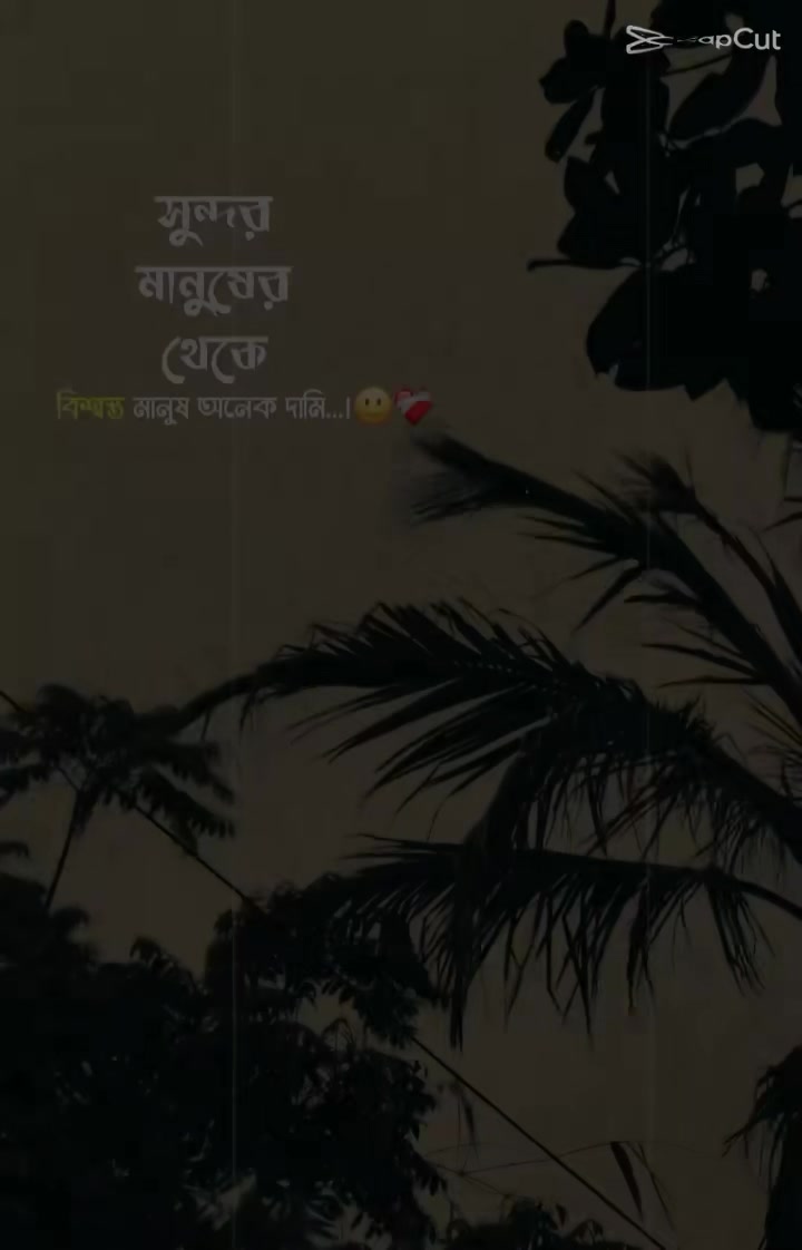 @Sanzida Nahar