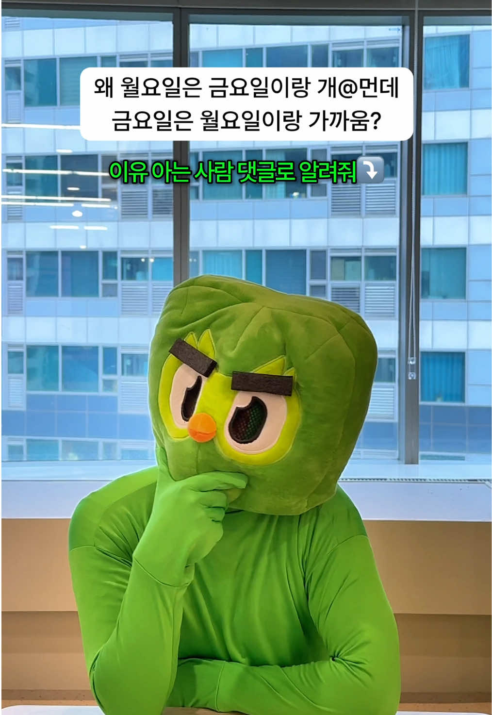 @duolingokorea