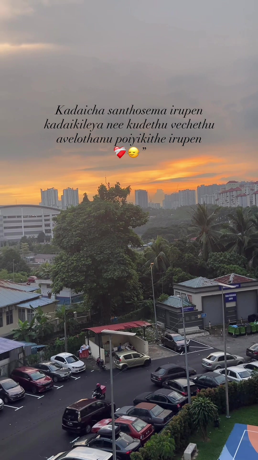 @ᥫ᭡.