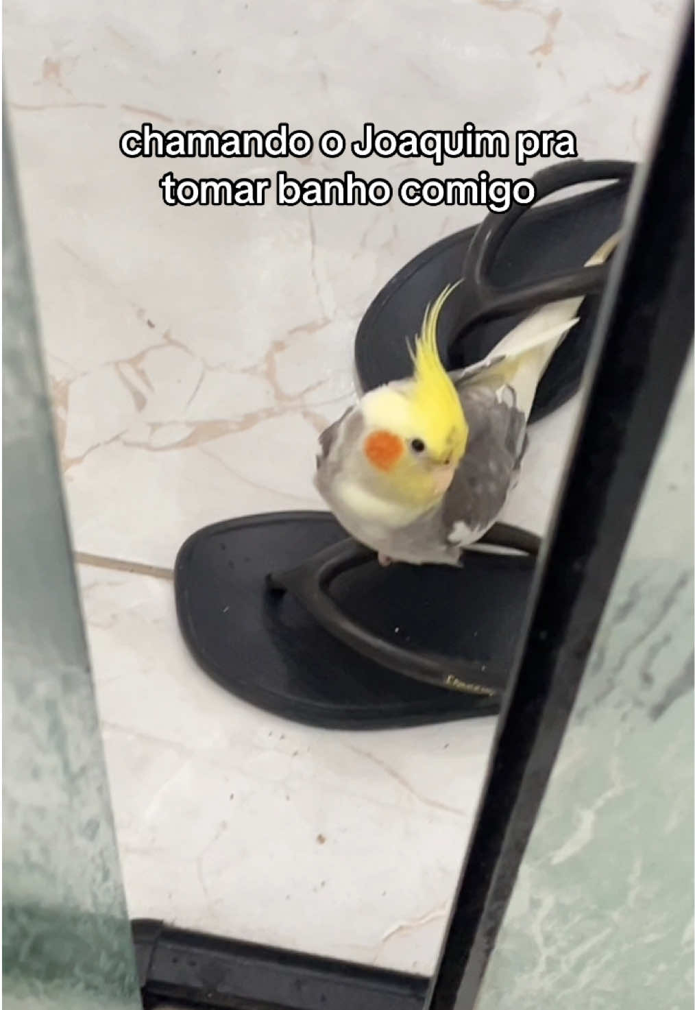 @juliabartoloo