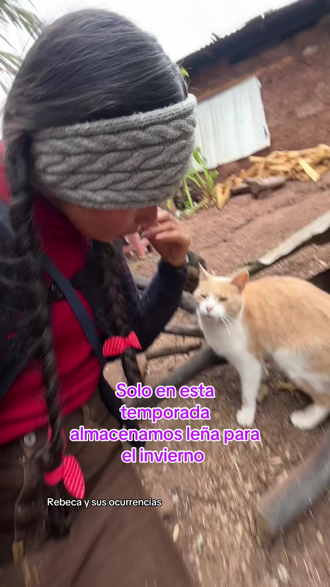 @🐈Rebeca y sus ocurrencias