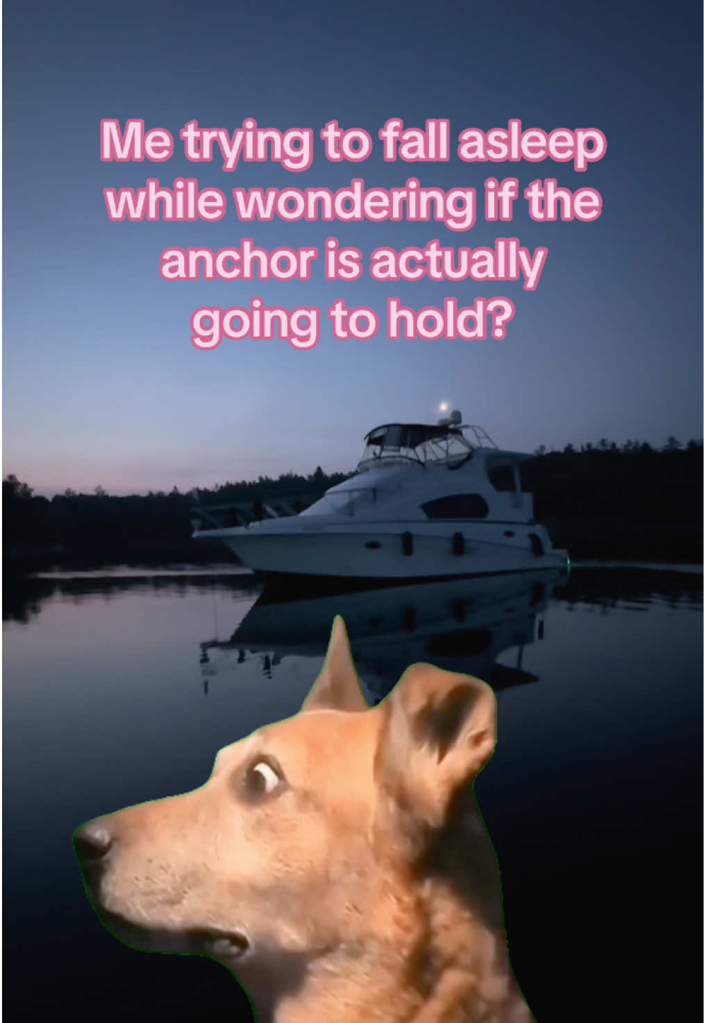 @Boat_Lady