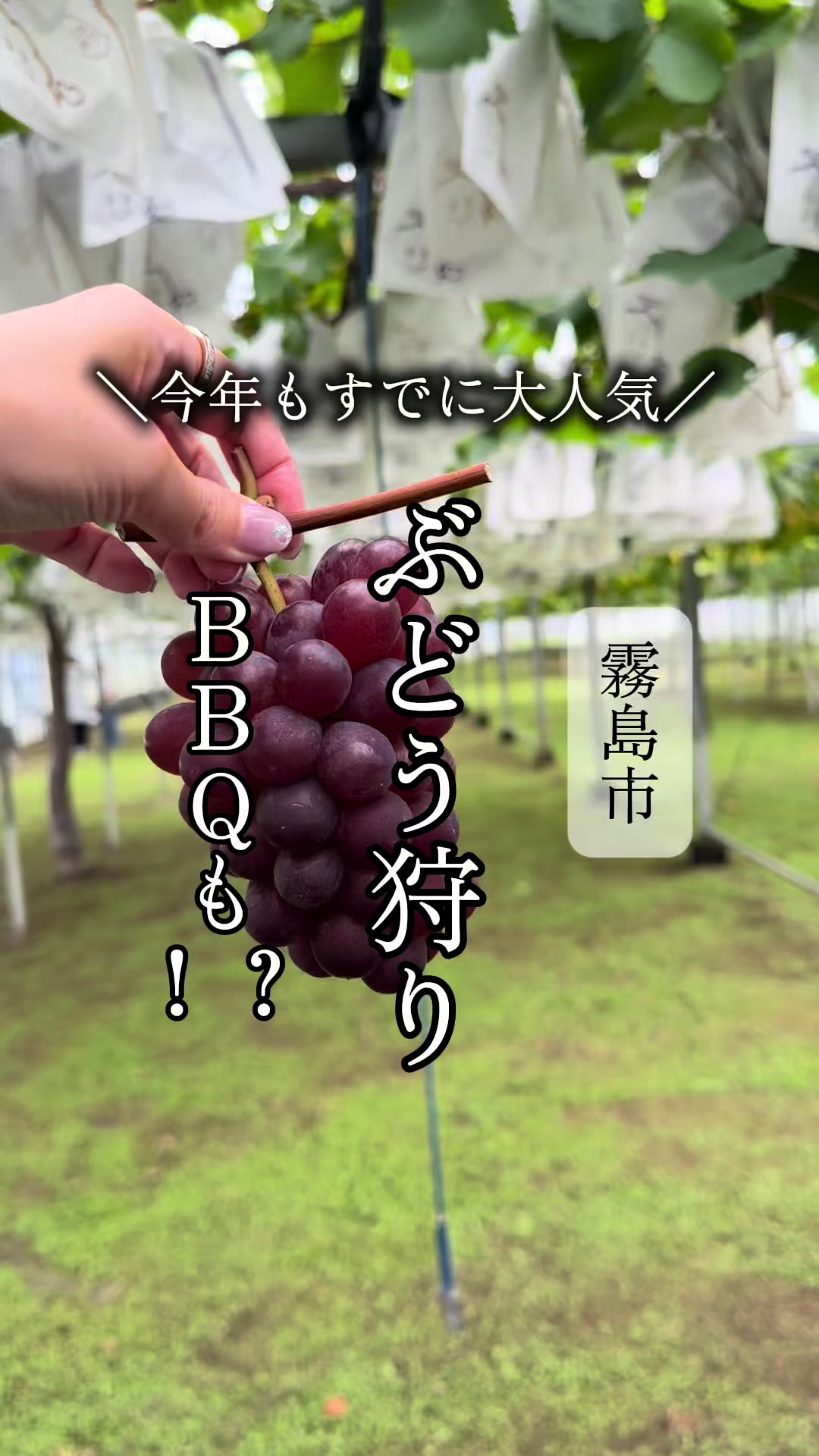 @鹿児島グルメのjunkoさん