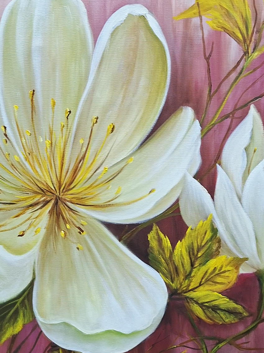 @Andréia Buzon 🎨