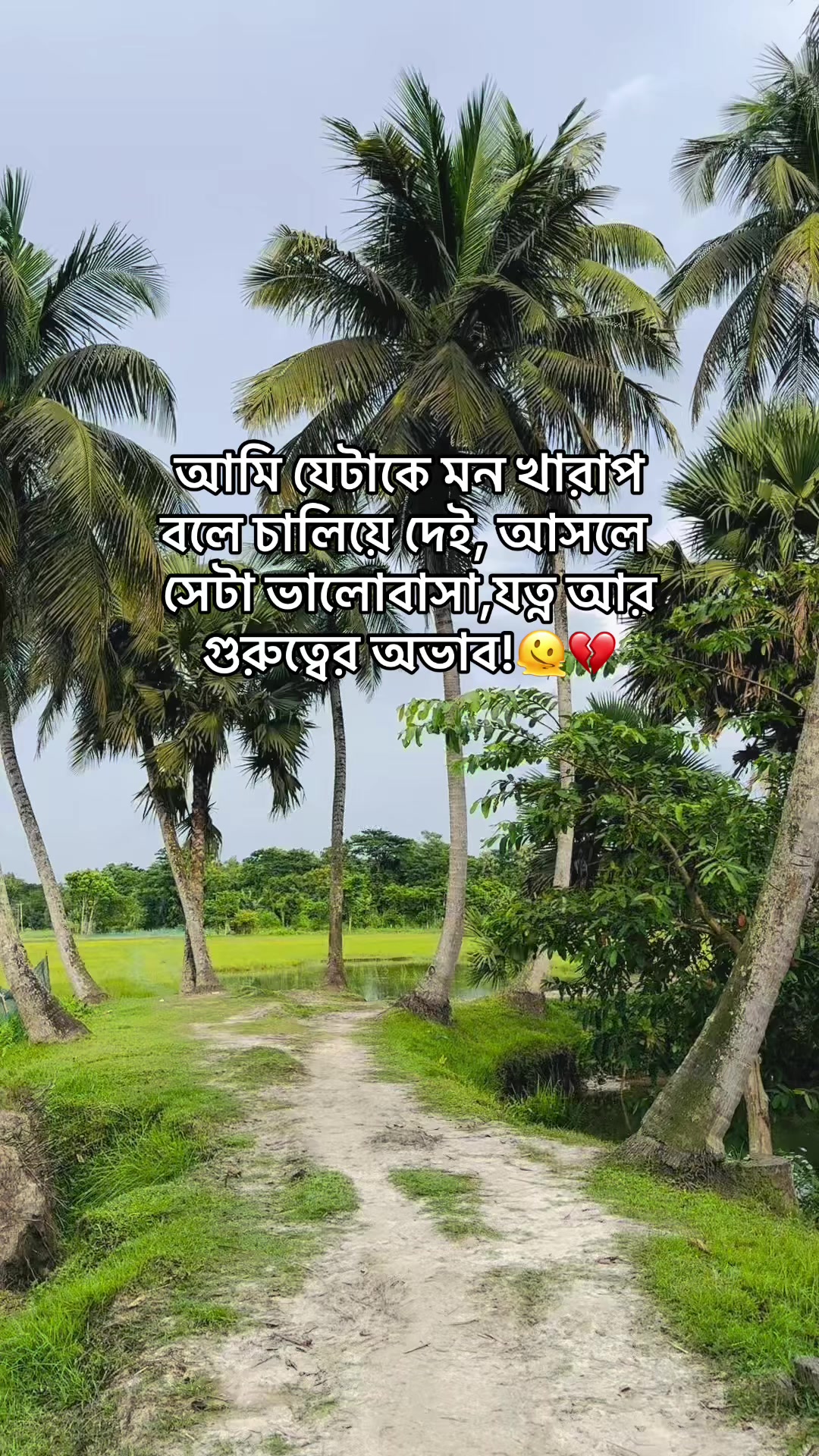 @🍷 Xhisan polash 🧃