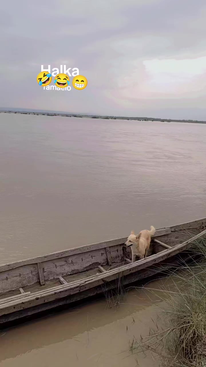 @M+S Mukesh mukhiya