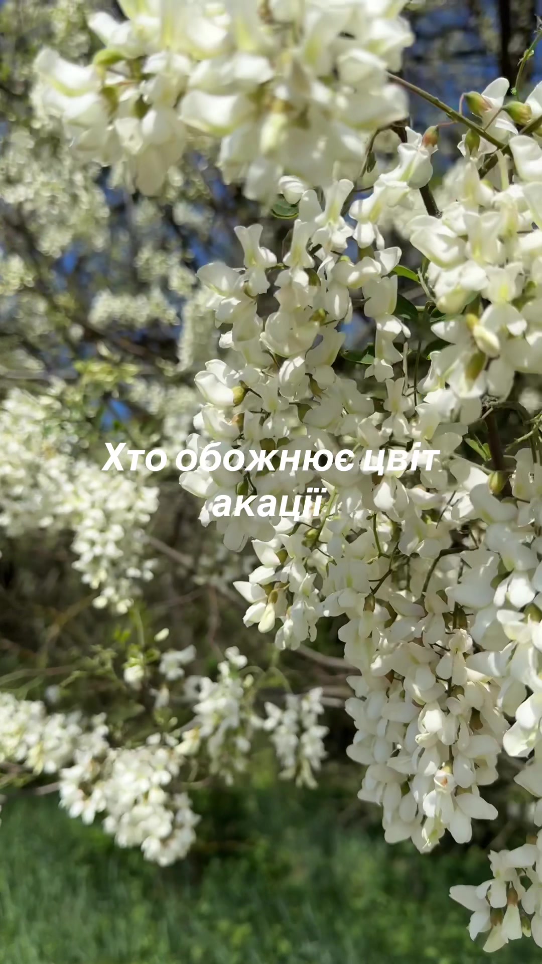 @Sasha🇺🇦John Deere🇺🇦🚜🌾🌽