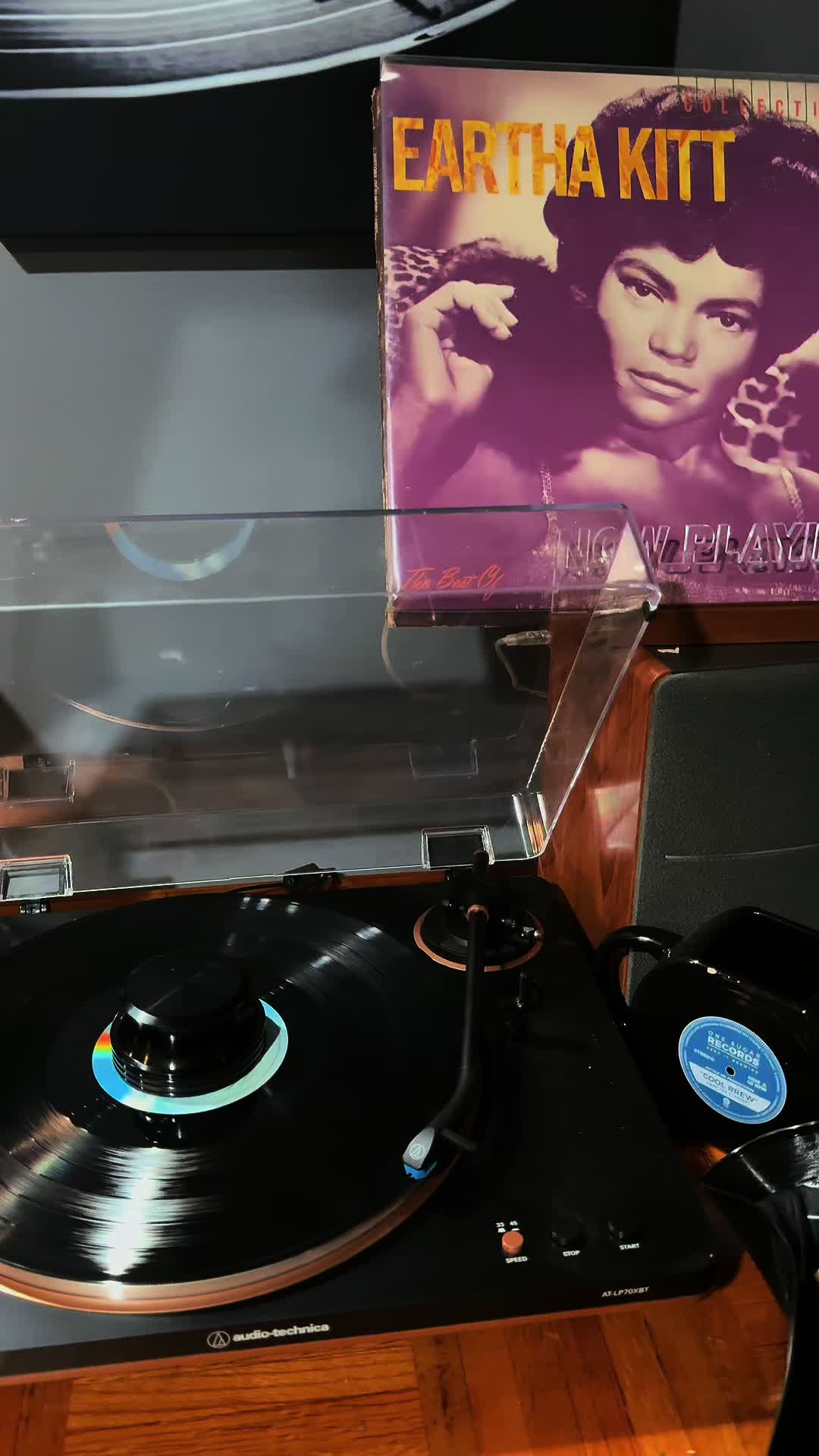 @vinylsandvibes2024