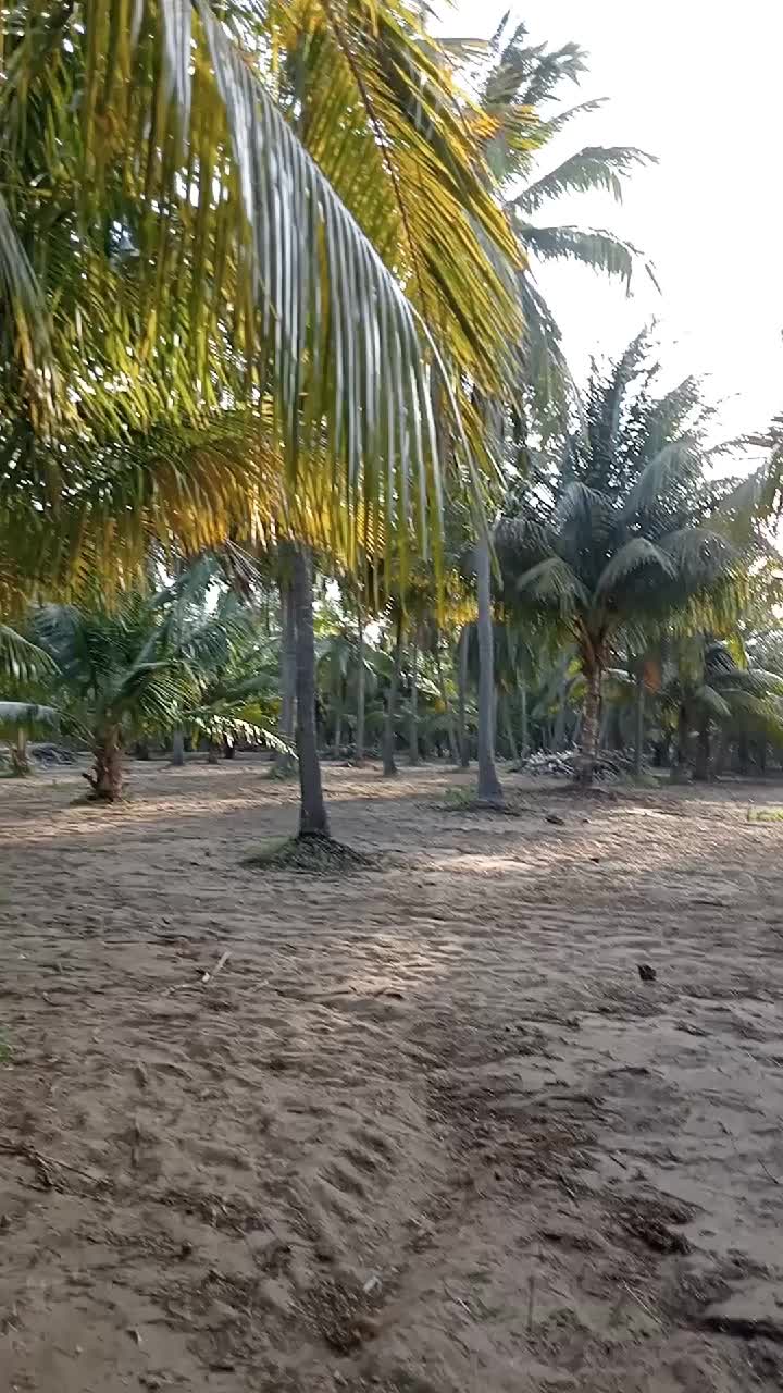 @Niyas Niyas