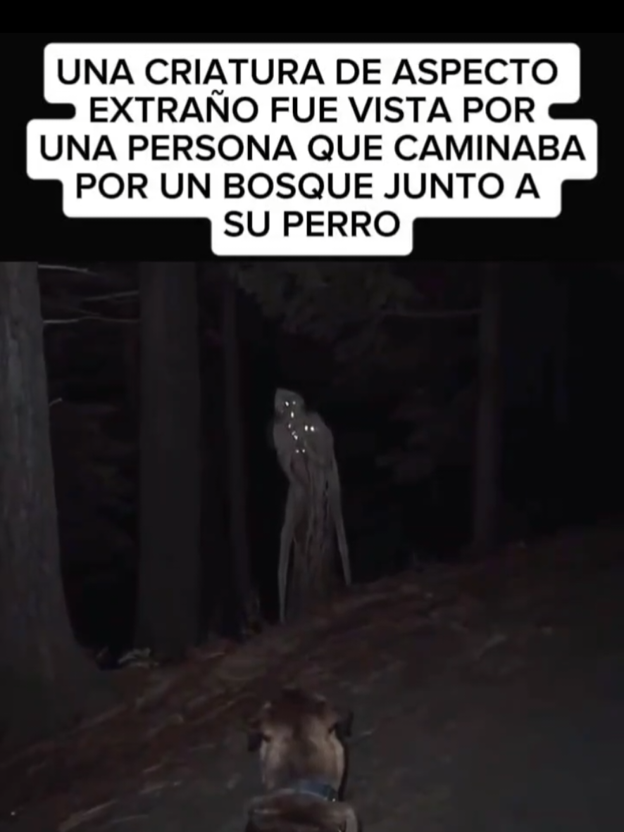 @KENCIVI
