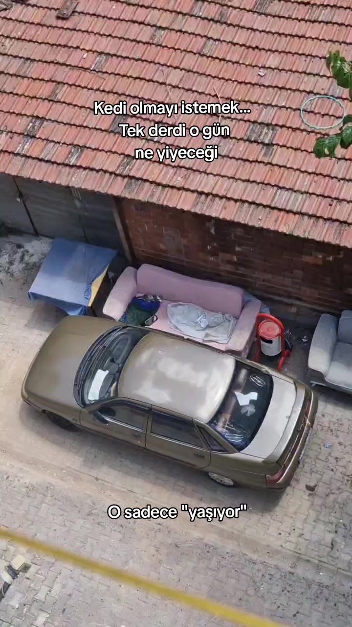 @ipek 🪽