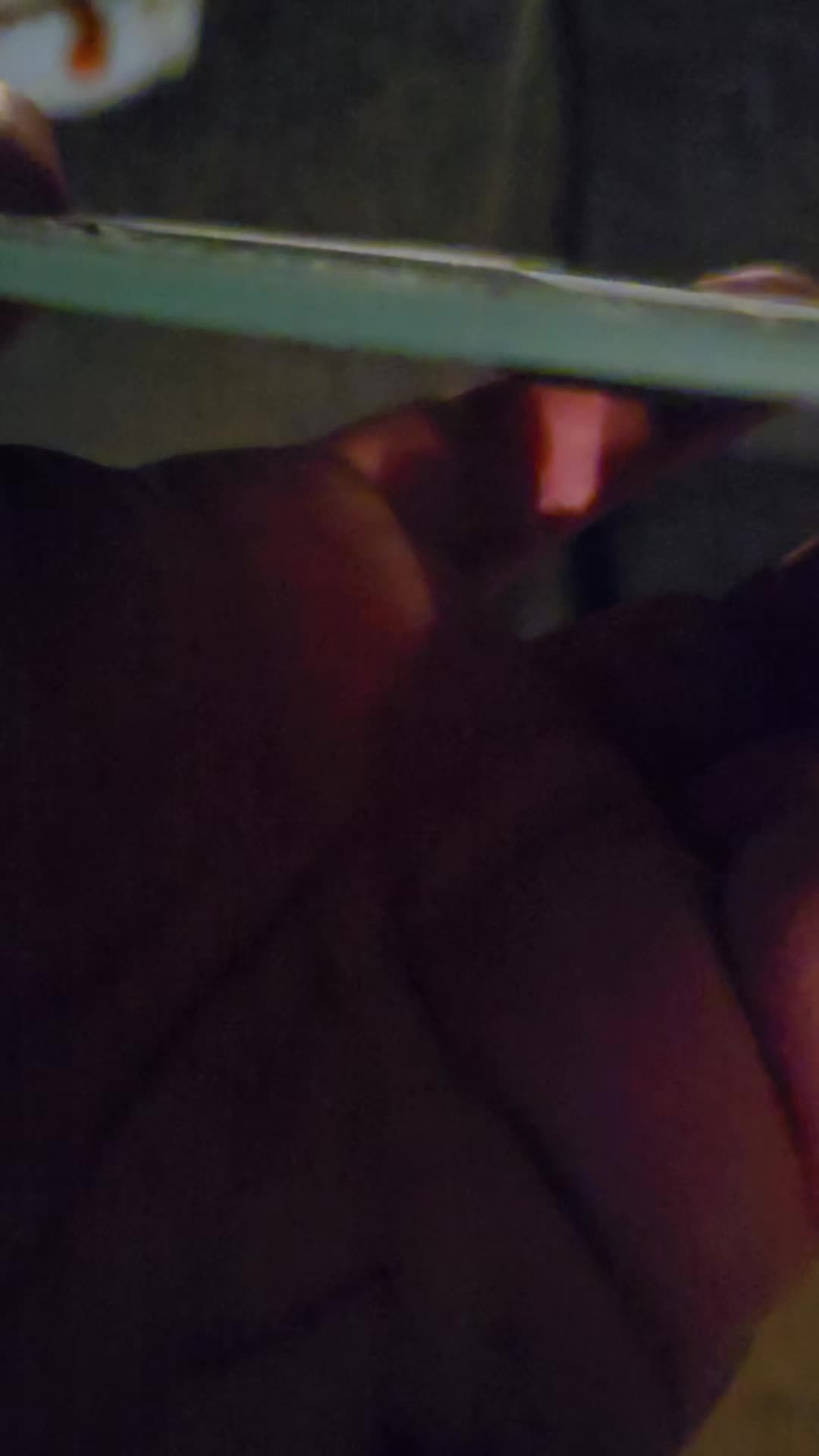 @Piggyelephant35