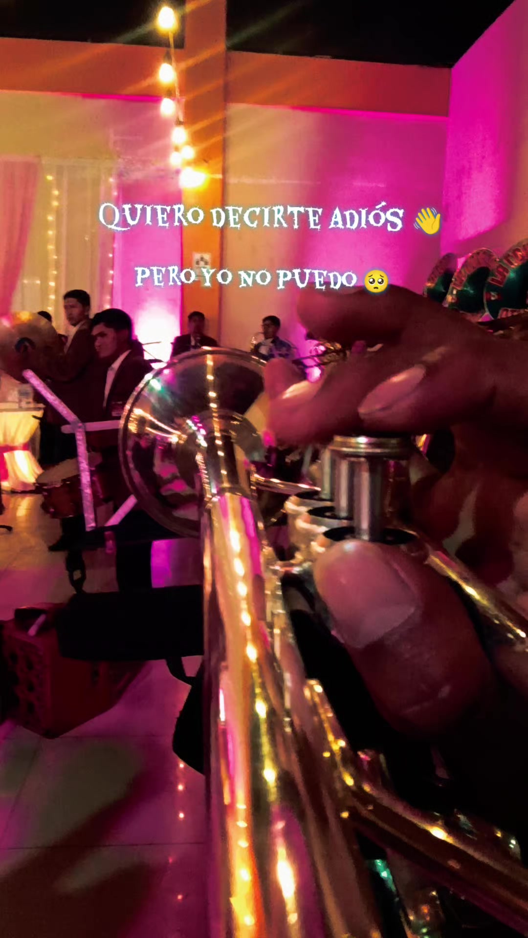 @🎺VERIAO🎺