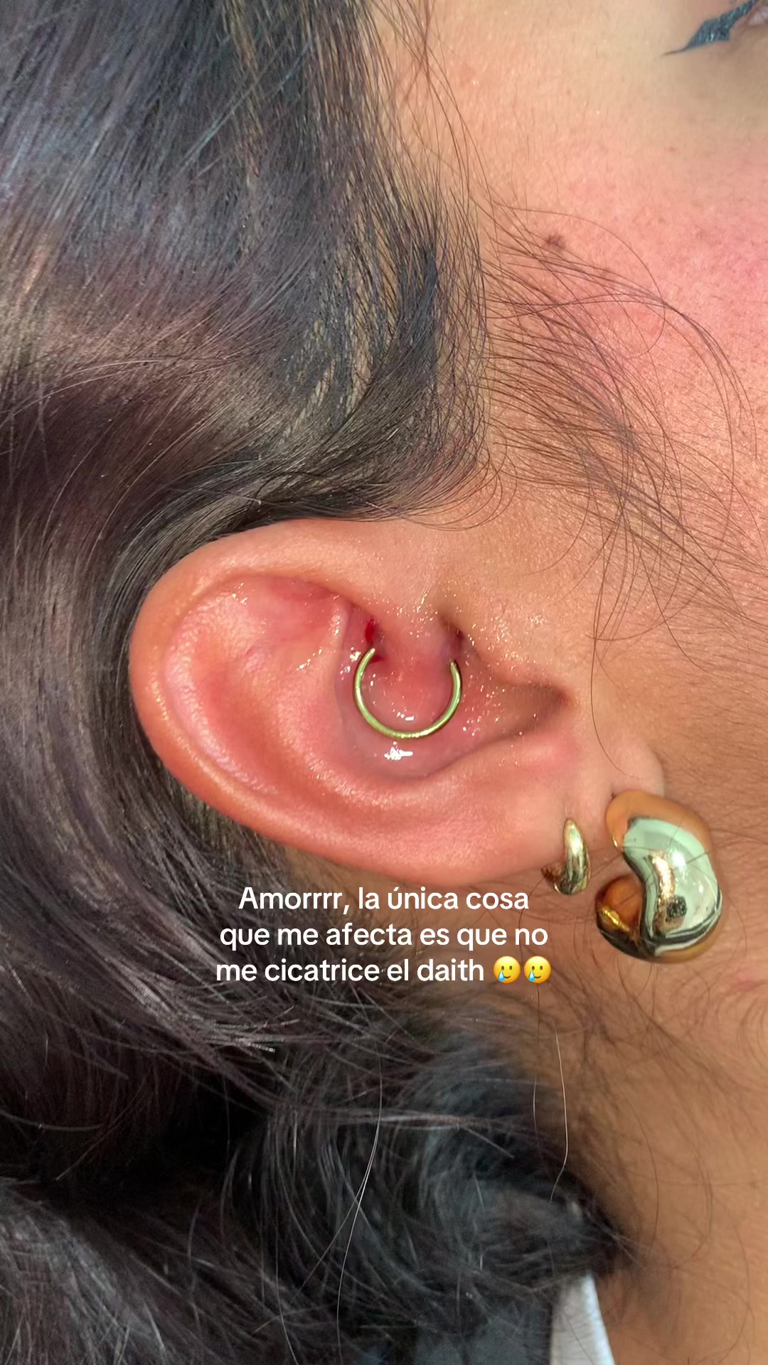 @stella.ags