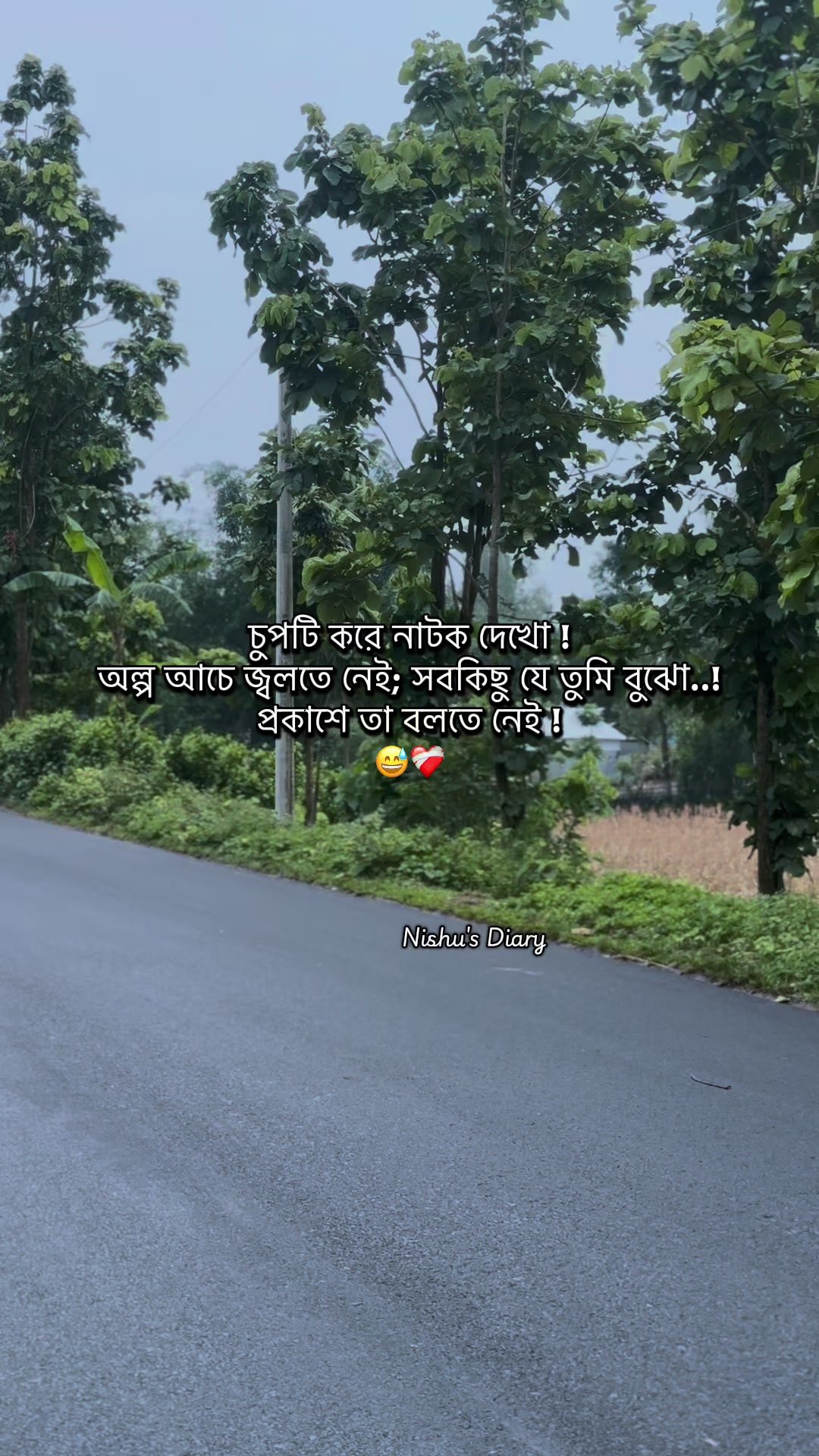 @Nishu's Diary