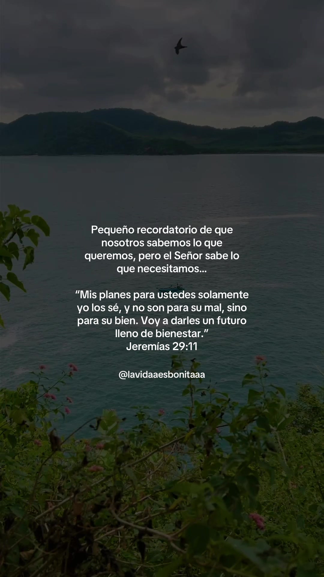@vidabonita❤️🩹