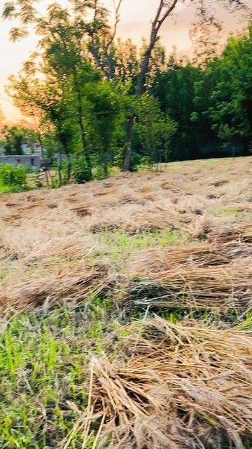 @🤦🏻&zwj;♂️🇸🇦ستری ژوند🇵🇰