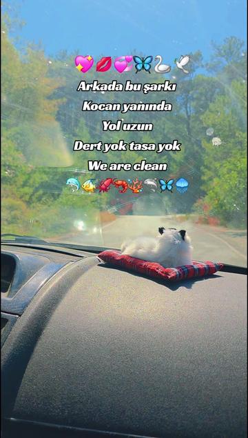@meleksayılıev