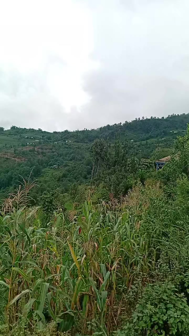 @Baliram Bhattarai385