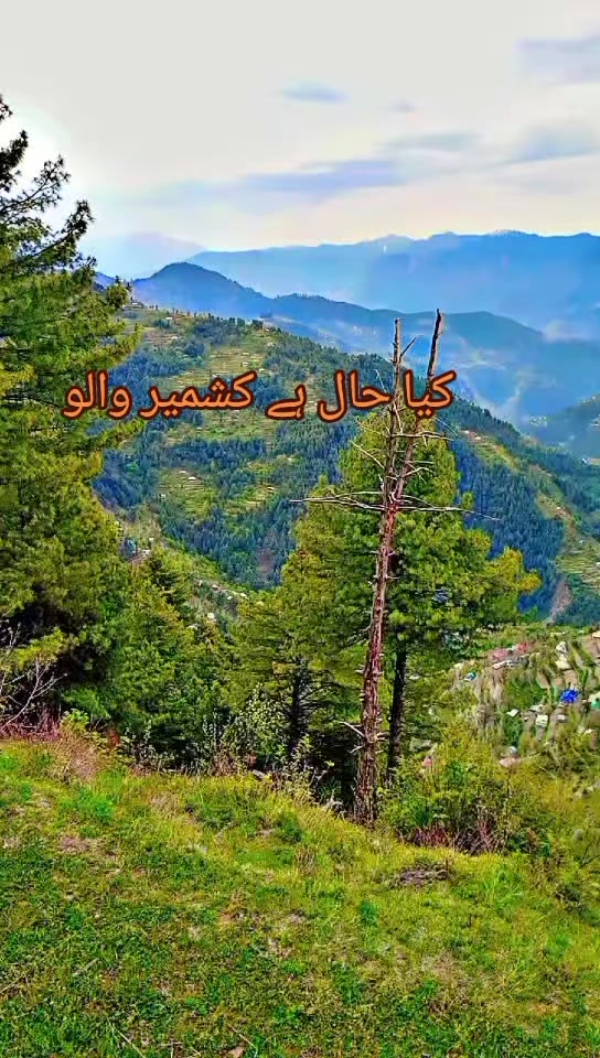 @انجان لڑکی