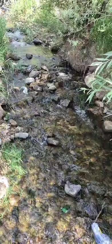 @İnci Ergin &Uuml;rgen