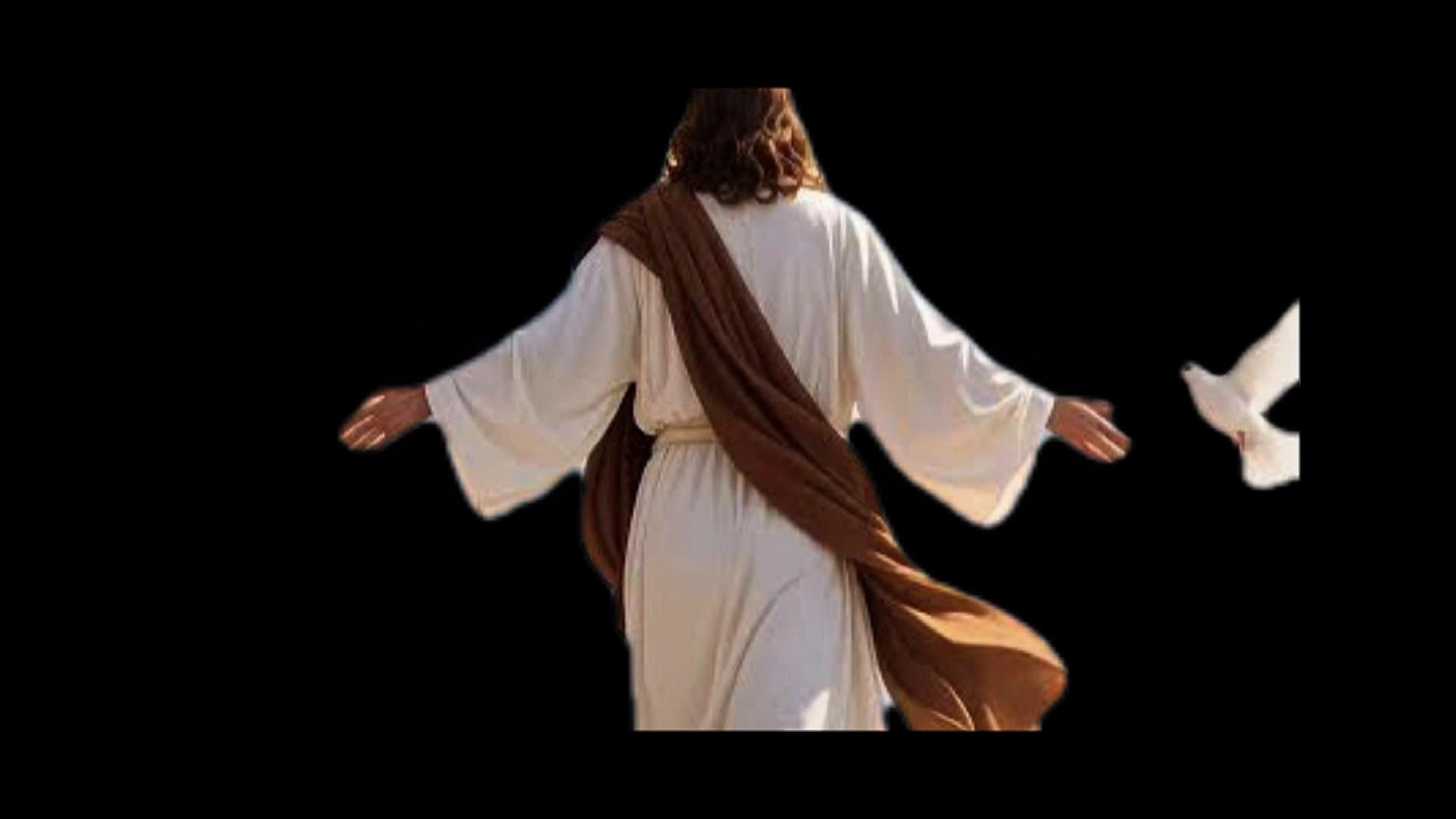 @jesus_lovesyou845