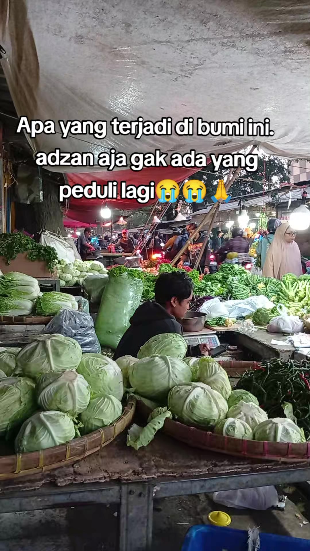 @Zayuran ajang