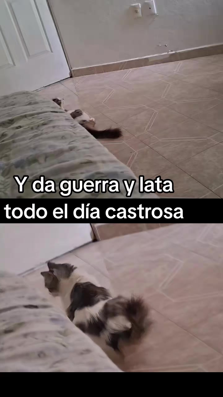 @Nel