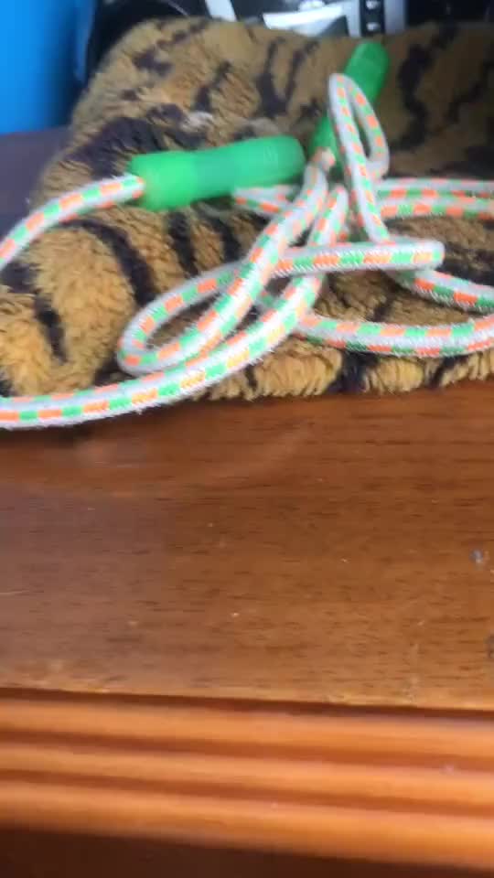 @Random Cat Stuff
