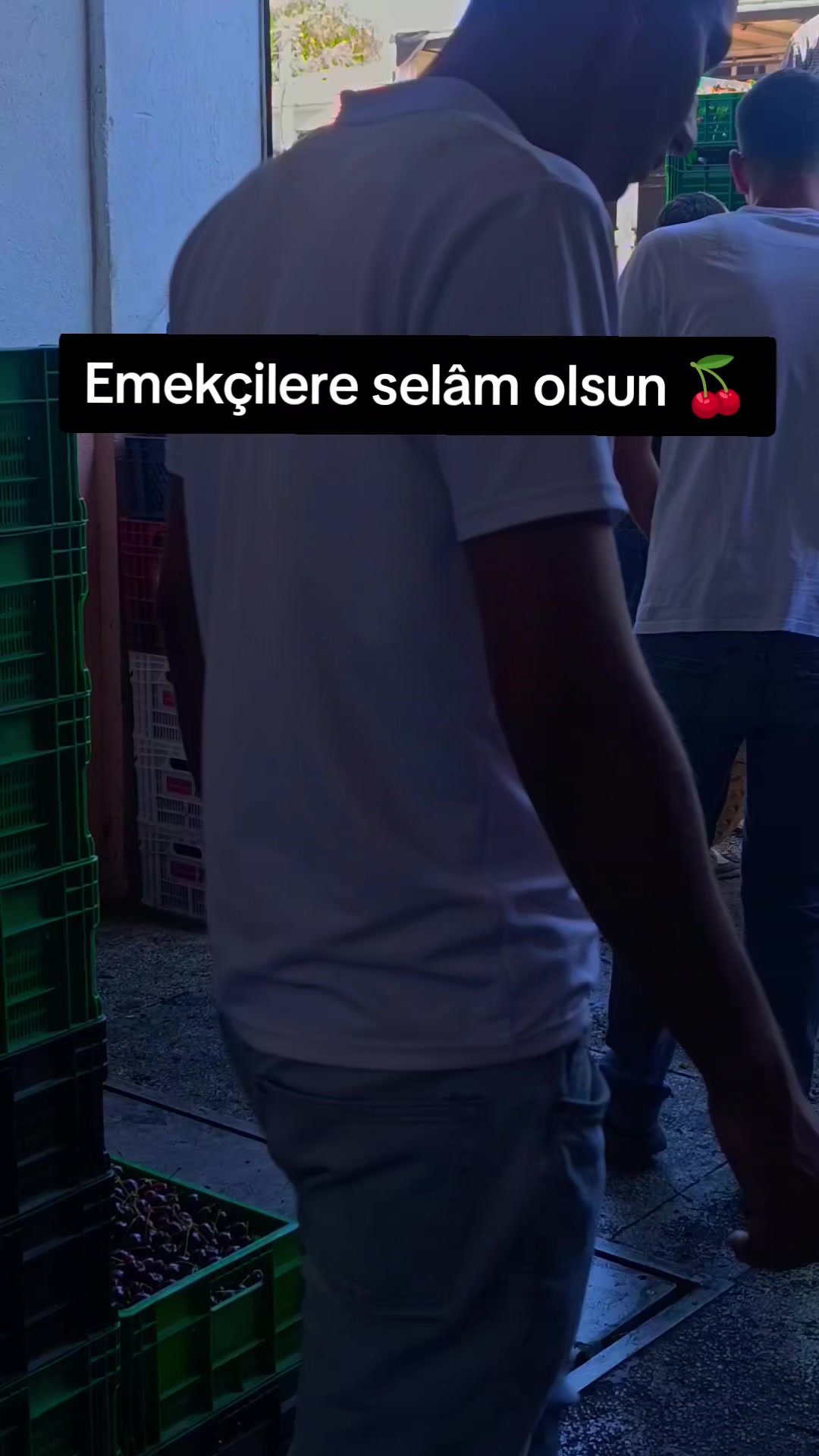 @Habib