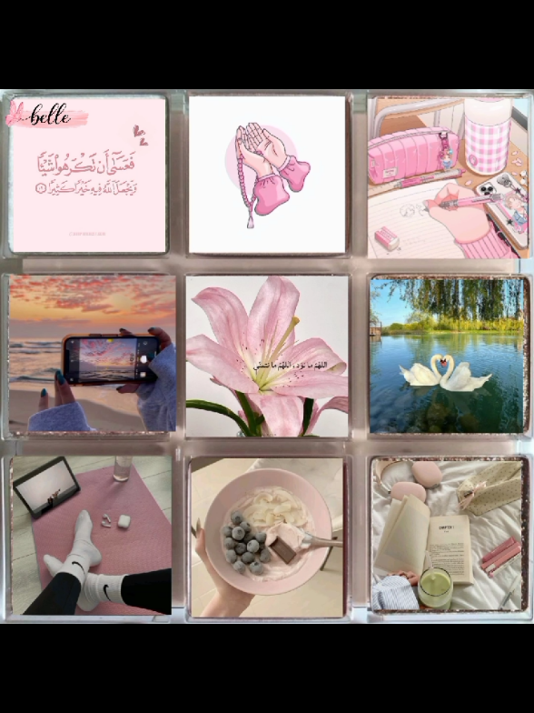 @₊˚𝐵𝑒𝑙𝑙𝑒🌸 ˚₊