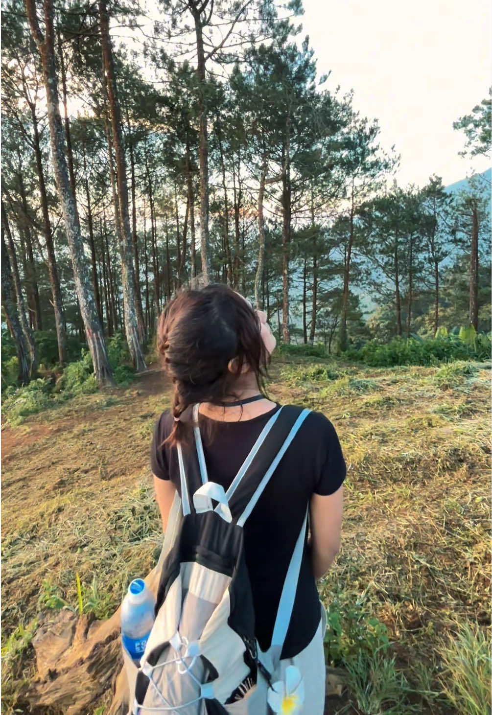 @pipuy444🇮🇩