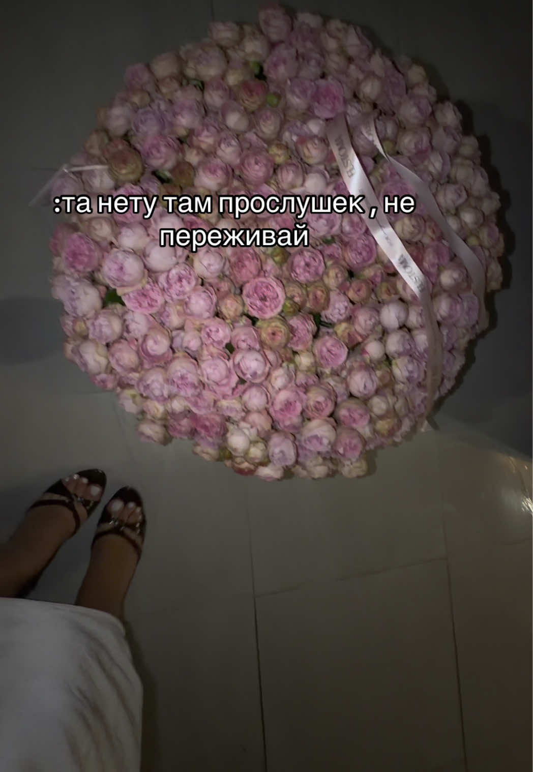 @bil_evelin