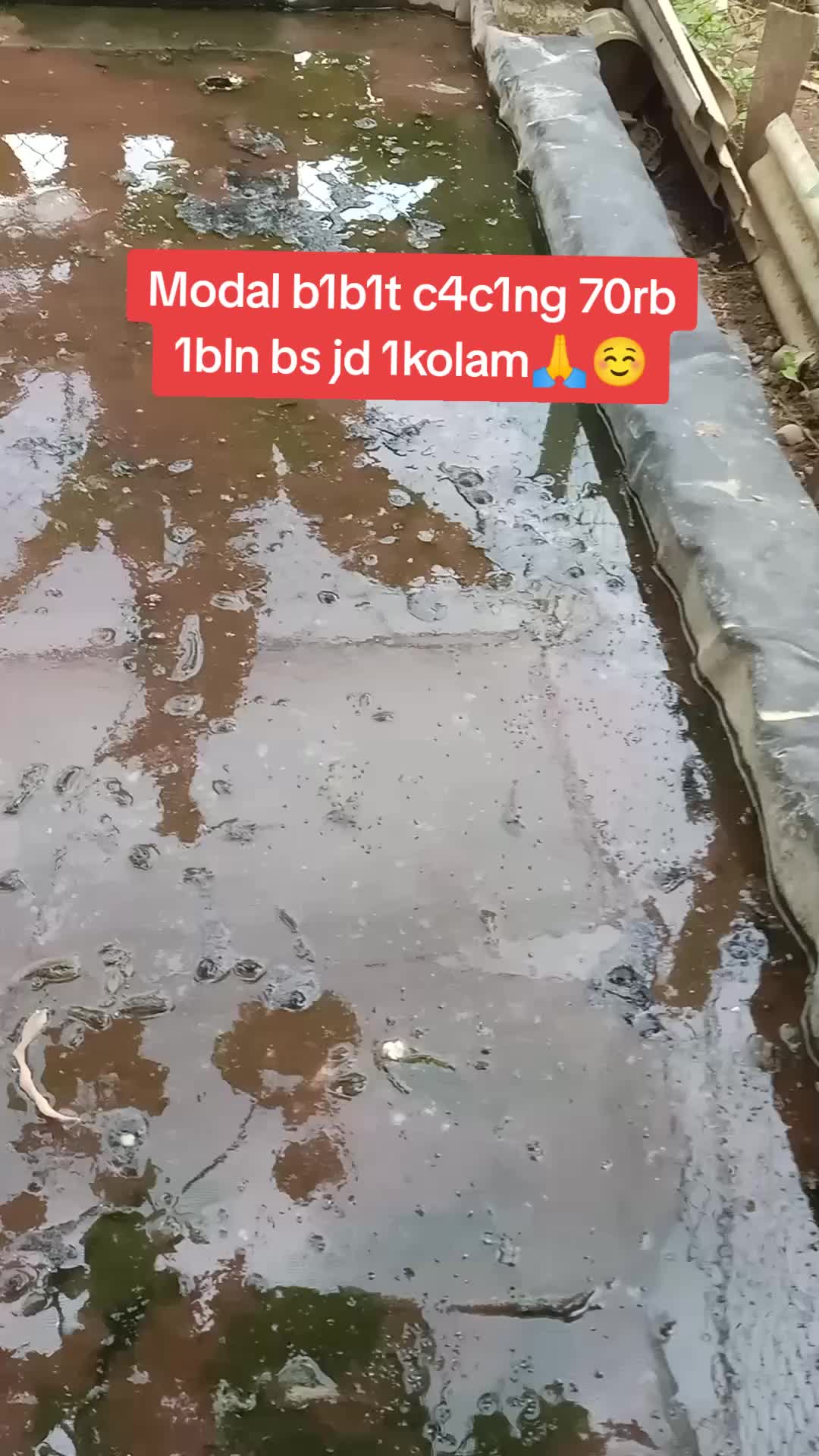 @AVRILIA NALENDRA💕