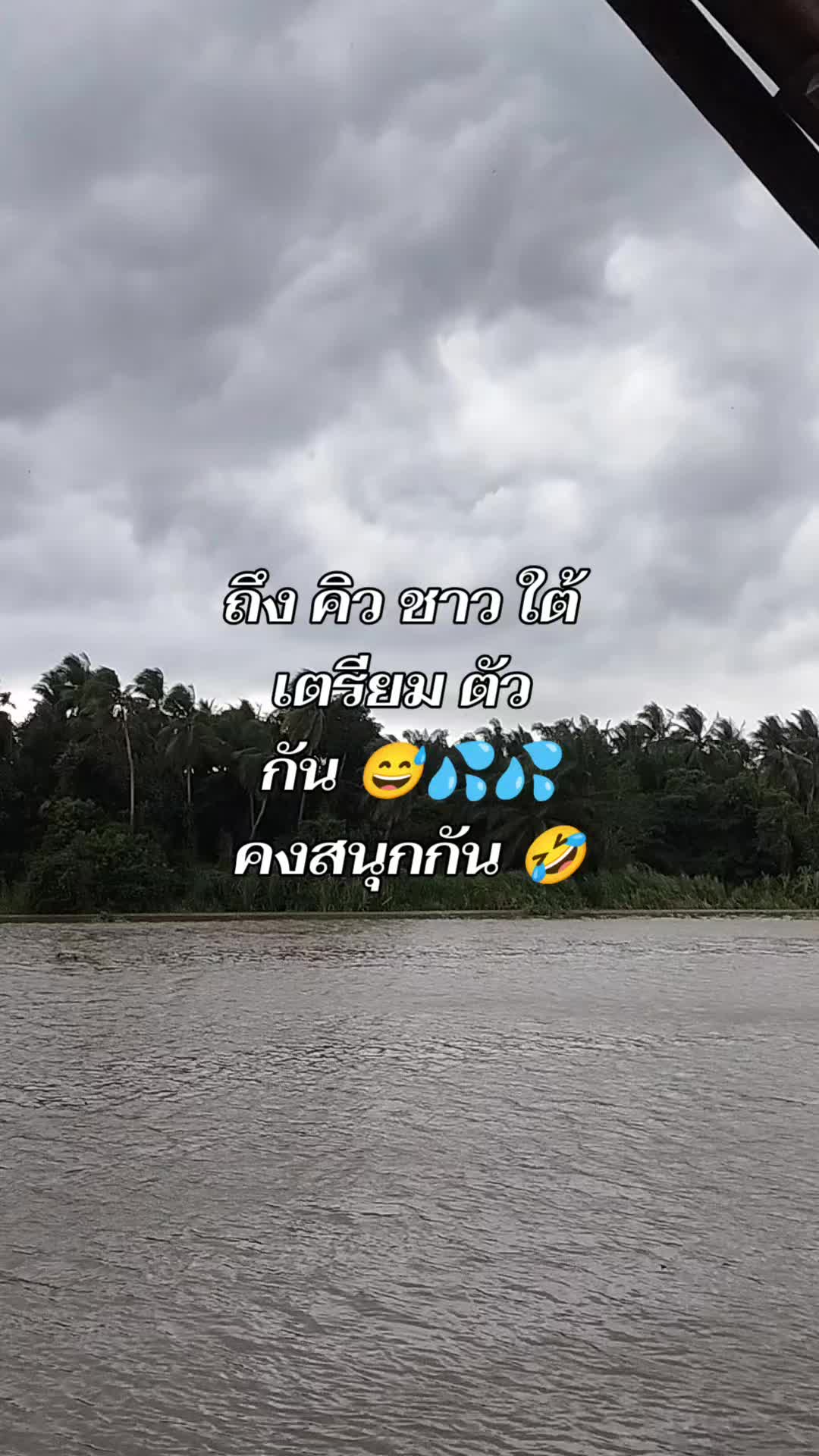 @nokphoenix63